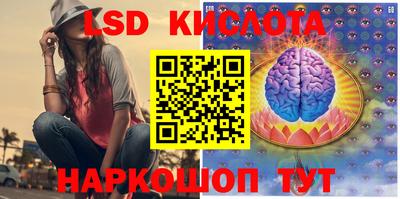 прущие крисы Будённовск