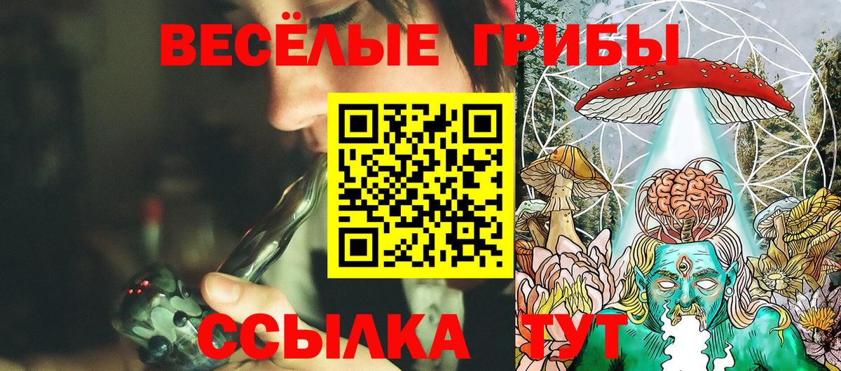 Южноуральск  Псилоцибиновые грибы MAGIC MUSHROOMS  Вход с VPN 